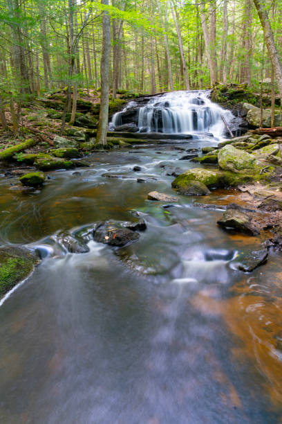 istock close up on flowing waterfall cascade in the stream in forest 1906232971