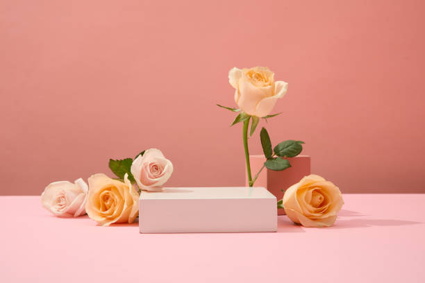 istock Fresh roses are artistically arranged around the white podium. Ideal space for cosmetics display. Advertising concept with fresh flowers. Front view. 1906290367