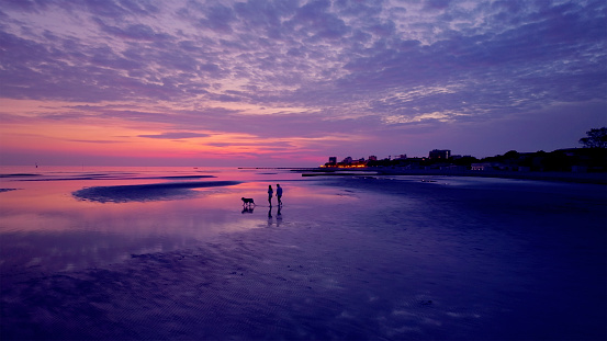 Aerial view of couple walking on beach with their dog in beautiful purple sunset.