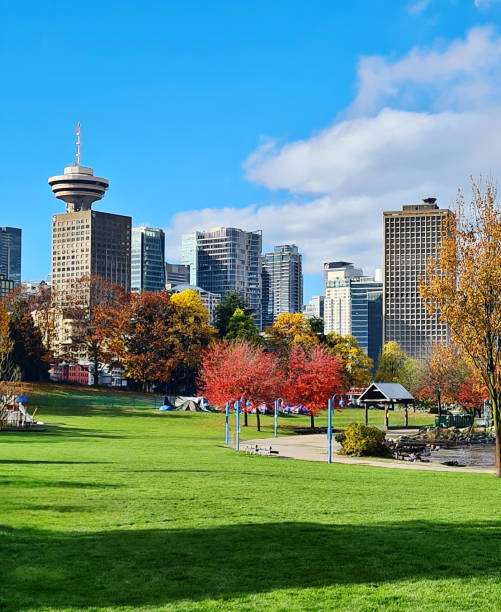 istock Autumn is Coming in Vancouver 1906445736