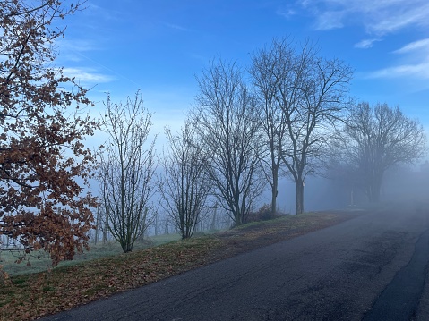 This photograph captures a serene and mystical hilly landscape where the ground is covered with bare trees, possibly in winter. A thick layer of fog envelops the middle earth, creating a dreamy effect, while the sky above us is clear with scattered clouds, allowing for a beautiful contrast. The terrain appears to be hilly or undulating, with elevation variations visible through the fog.\nThere are no artificial structures or people visible in this natural environment