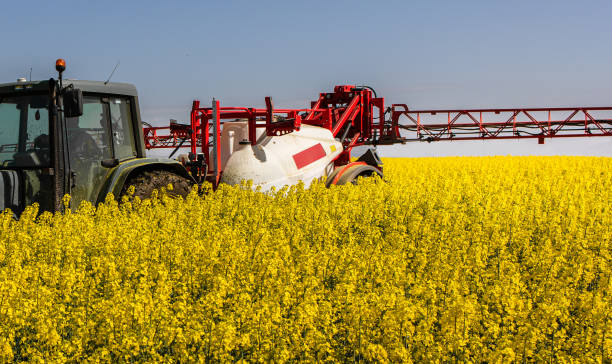 istock Tractor spraying yellow oilseed field 1906483655