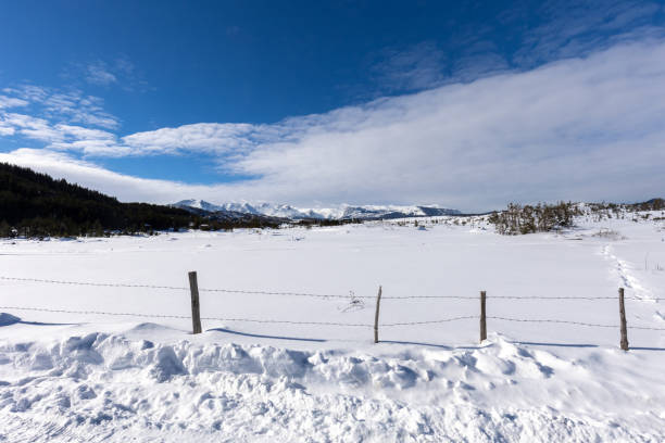 istock Winter day in the mountains 1906509581