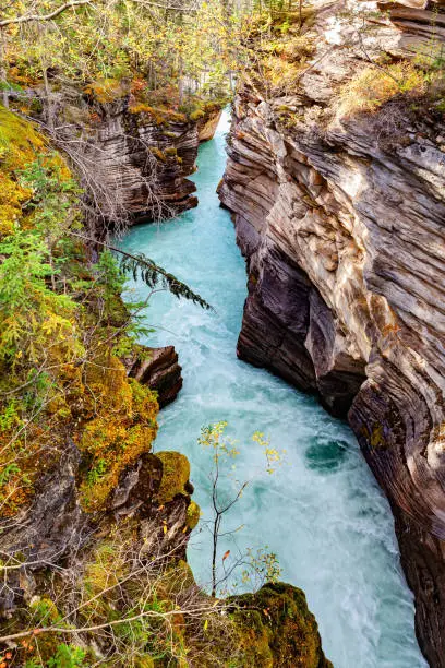 Photo of The thundering Athabasca Falls