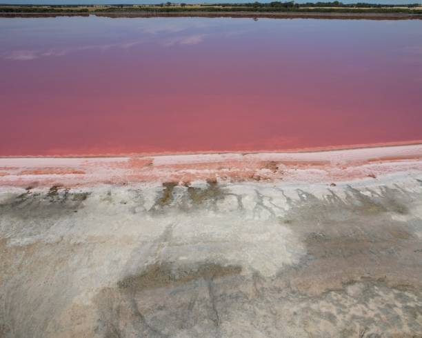 istock Pink Lake in Victoria Australia 1906537027