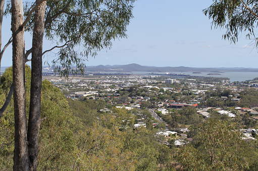 View of Gladstone from the Round Hill Lookout with a tree in the foreground in Queensland, Australia