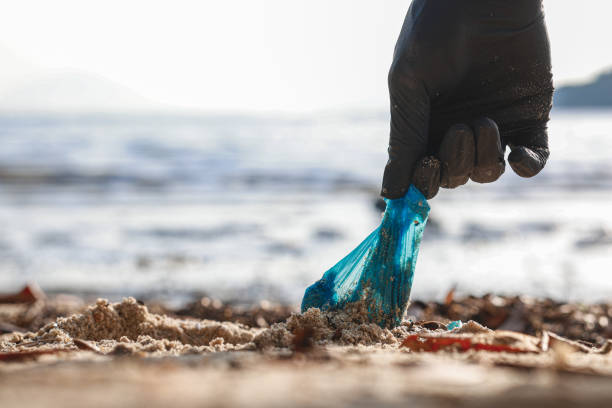 istock Close up shot of hand pulling plastic bag out from sand at the beach 1906563439