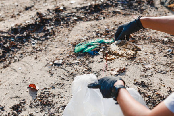 istock Collecting plastic packing and put in garbage bag at the beach 1906564538