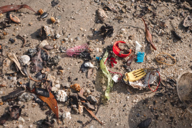istock Close up shots of abandoned microplastic at the beach 1906566688
