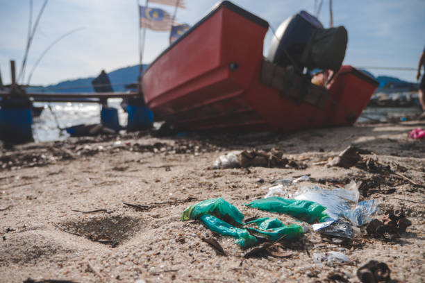 istock Wide shot of plastic waste washed up at the beach 1906568320