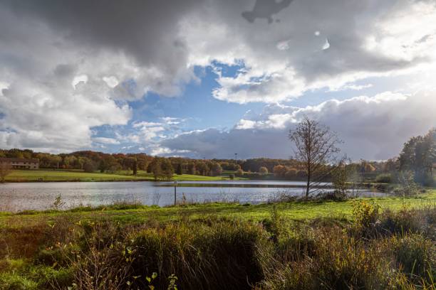 istock Stunning landscape with a tranquil lake surrounded by lush green trees 1906580883