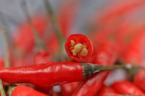 A vibrant close-up of a selection of red peppers