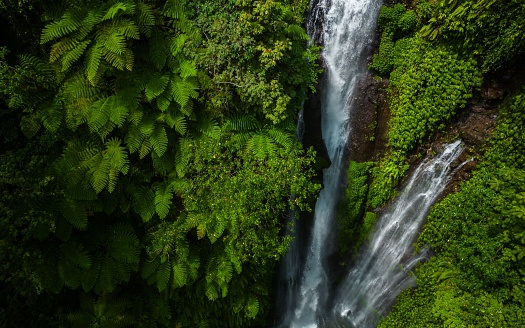 A majestic waterfall cascading down from a great height, surrounded by lush green foliage