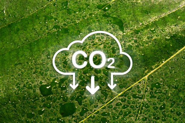 istock CO2 reduction icon on a green leaf with droplets. CO2 reduction concept for environment, global warming, sustainable development and renewable energy green business. 1906606611