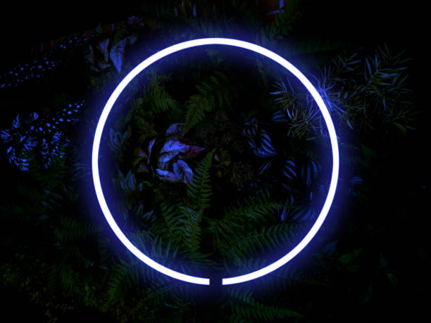 istock Dark tropical leaves background. blue neon light and circles shape 1906610288