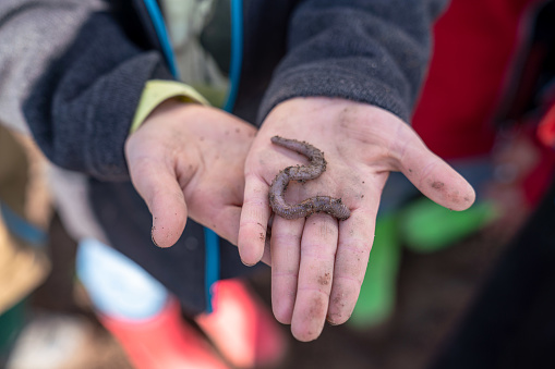 A child found an earthworm in the field and is presenting it to the camera.
