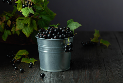 Black currant in a small bucket on a black wooden table. Copy space.