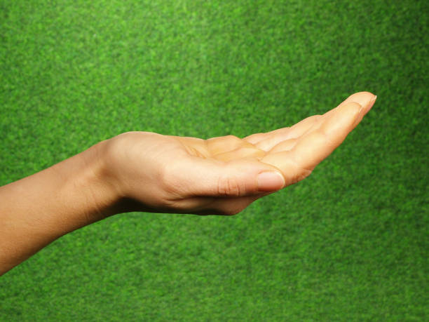 istock Woman holding Hand Symbol - Green Background 1906690044