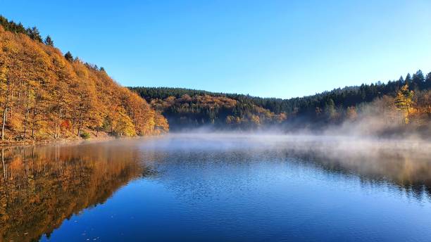 istock Autumn mood at the lake 1906721640