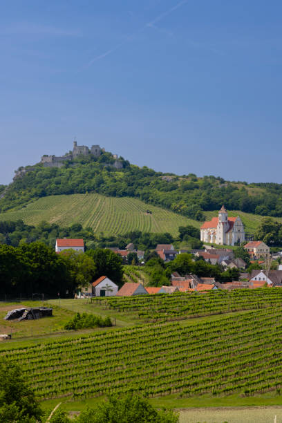 istock Falkenstein ruins and town with vineyard, Lower Austria, Austria 1906732628
