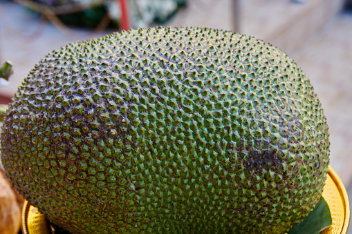 Close-up of  jackfruit on plate