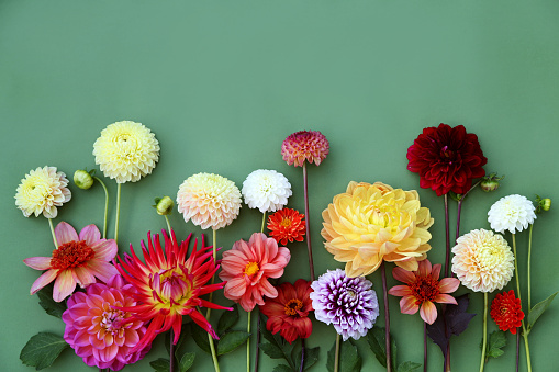 Flower arrangement