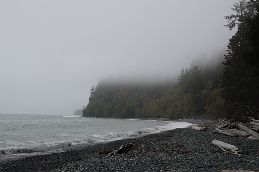 A picturesque landscape of fog-covered shoreline with trees lining the coast