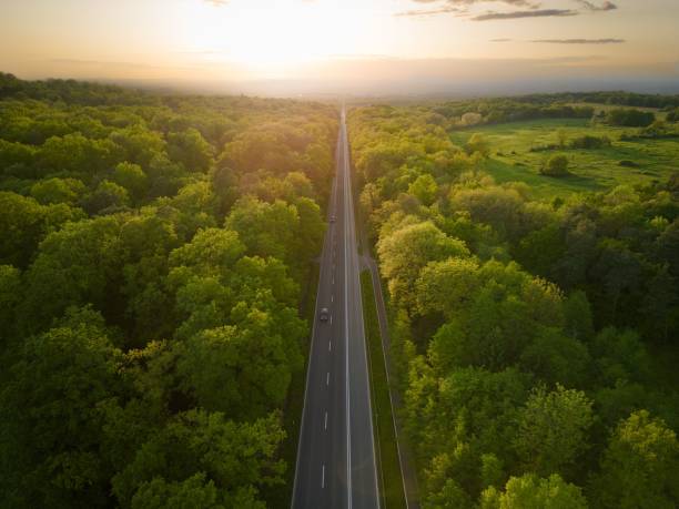 High angle view of a straight road going through the forest at sunset