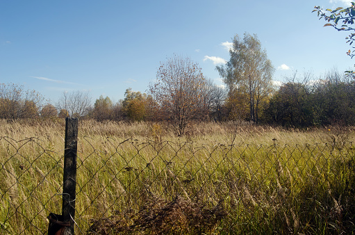 Field behind a mesh fence, in autumn