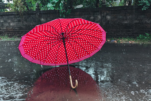 Red umbrella with white spots in the rain