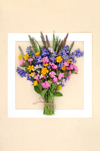 Spring wildflower posy background frame with bluebell, red campion, buttercup and nemesia flowers with meadow flowers and grasses. Floral Beltane nature bouquet of British flora.