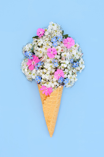 Surreal hawthorn blossom, forget me not and rose campion flower ice cream cone concept. Fun edible food art spring composition for logo, gift tag, birthday, mothers day, holiday vacation on blue.