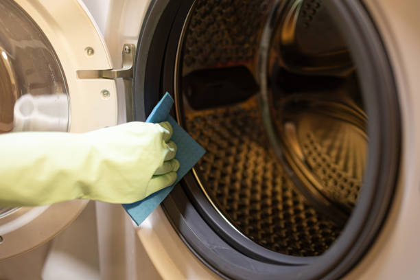 istock Woman cleaning washing machine 1906804263