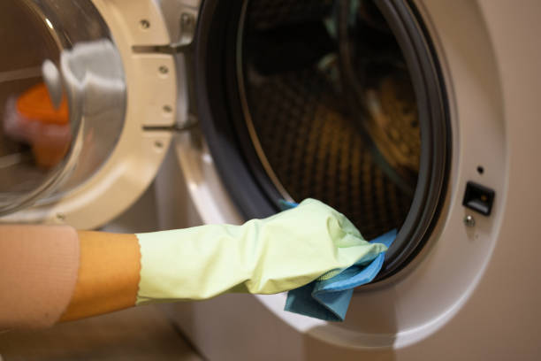 istock Woman cleaning washing machine 1906804784