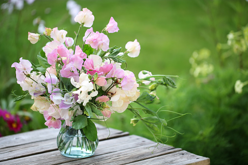 Flower arrangement