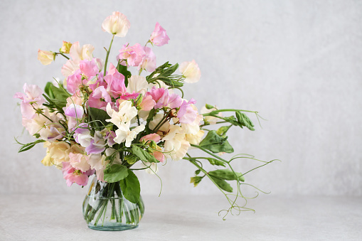 Beautiful delicate purple wildflowers in glass vase on the table with copy space. Minimalistic home decor. Floral background.