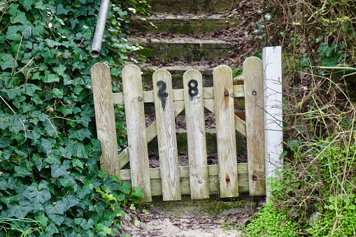 A vintage wooden gate partially hidden behind an overgrown greenery
