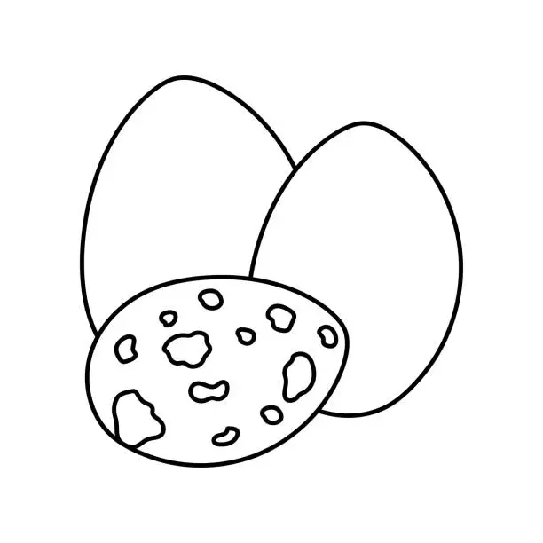 Vector illustration of Hand drawn eggs: chicken and quail color element. Cartoon unprocessed food.