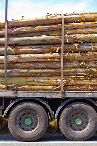 Stationary truck trailer loaded with stacks of logs, two wheels, sky background. A Coruña province, Galicia, Spain.