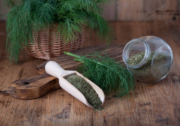 Spicy herb  dill in natural and dried form stock photo