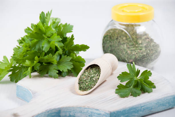 Spicy herb parsley in natural and dried form stock photo