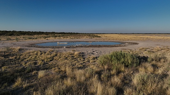 Saltpan in the Khutse Game Reserve in Botswana, Africa