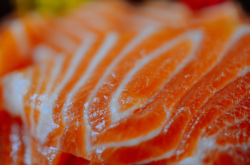 Salmon. Fresh raw salmon fish fillet with ice and herbs on white background, top view