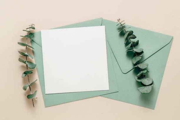 istock Blank paper mockup card on envelope with eucalyptus leaves, beige background 1906926107