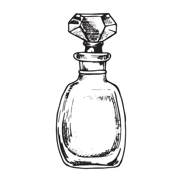 Vector illustration of bottles with perfume, vector drawing in sketch style. vintage