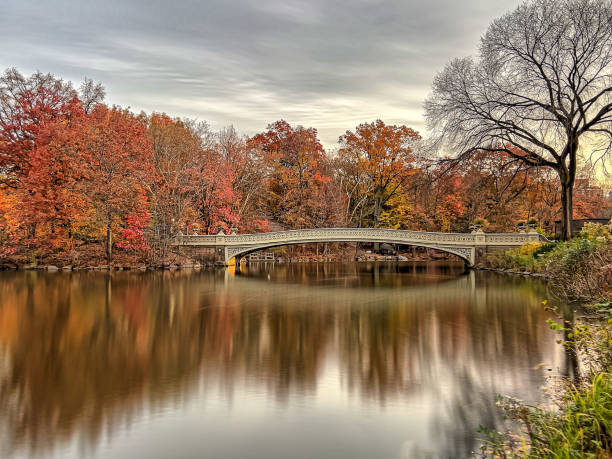 istock Bow bridge in late autumn 1906998195
