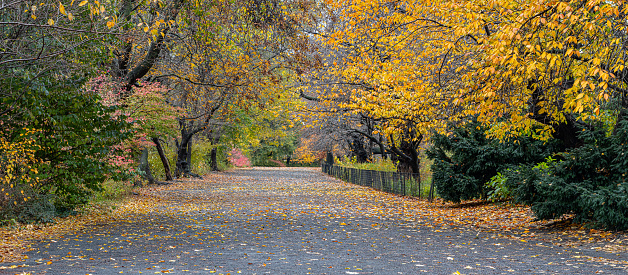 Central Park, New York City in autumn