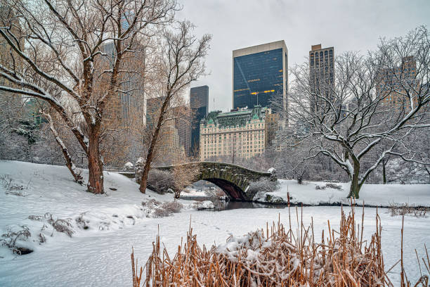 istock Gapstow Bridge in Central Park,snow storm 1906998726