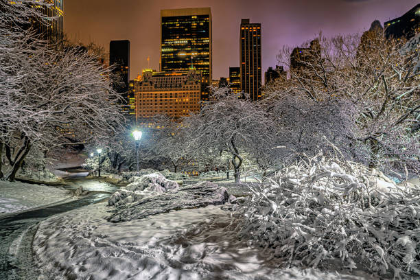 istock Central Park in winter , snow storm 1906999912