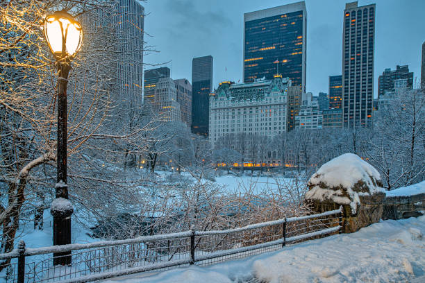 istock Gapstow Bridge in Central Park,snow storm 1906999939